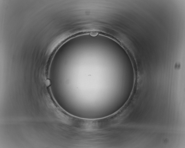 X0000112880789200908211450