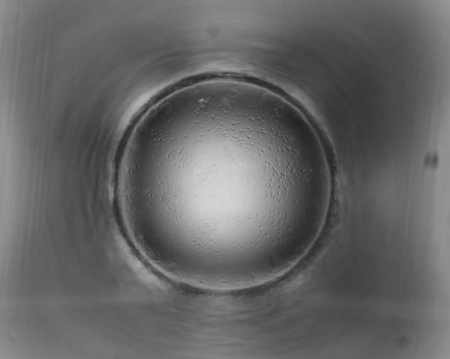 X0000112880791200908211450