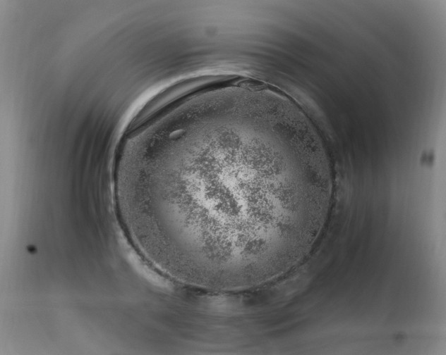 X0000112880792200908211450