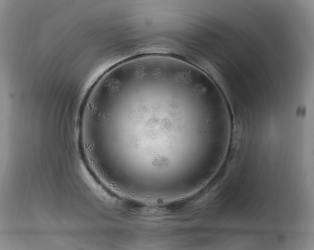 X0000112880795200908211450