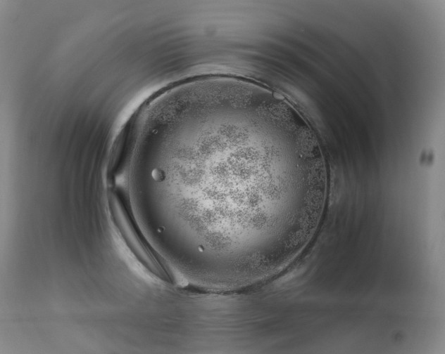 X0000112880796200908211450