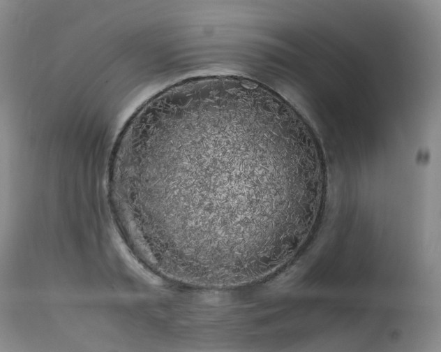 X0000112880797200908211450