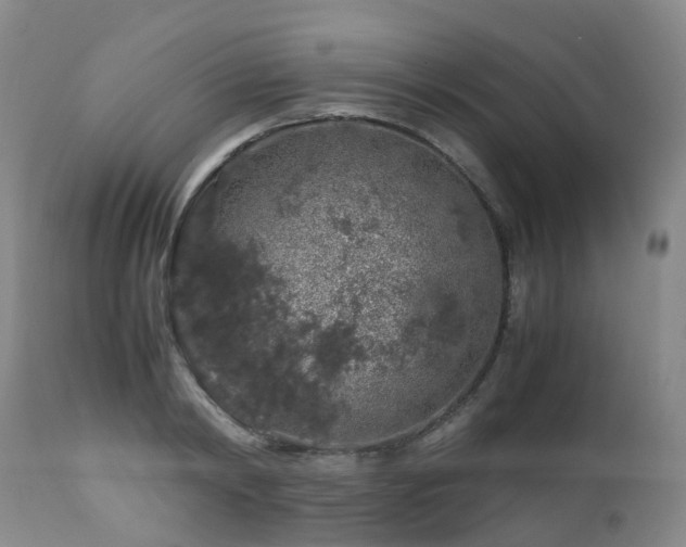 X0000112880798200908211449