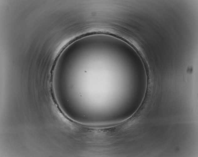 X0000112880799200908211449