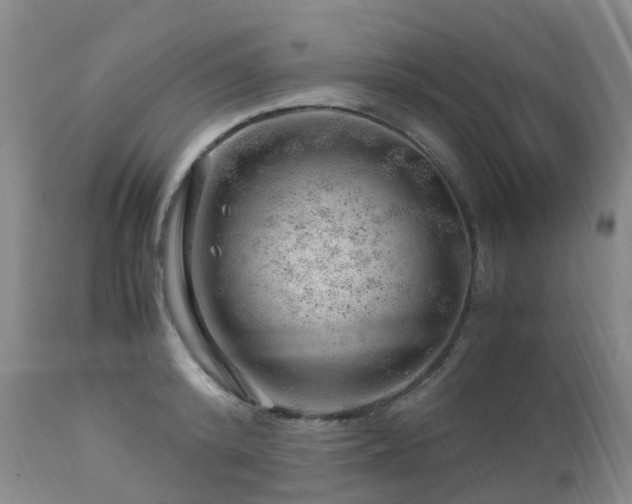 X0000112880800200908211449