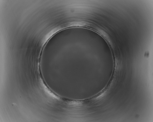 X0000112880802200908211449