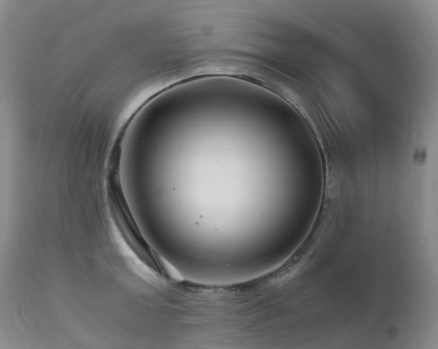 X0000112880803200908211449