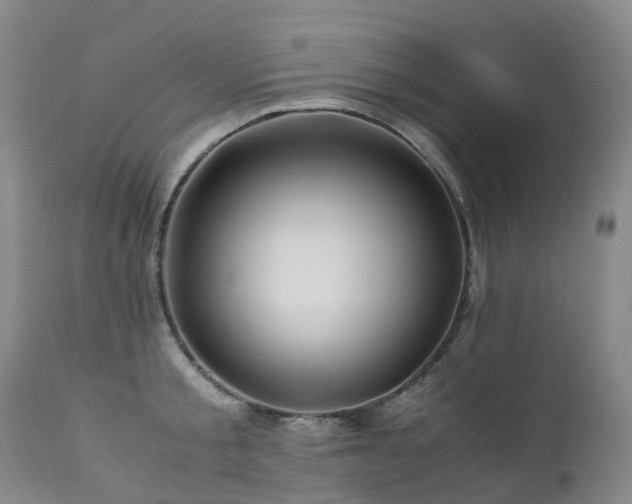 X0000112880805200908211449