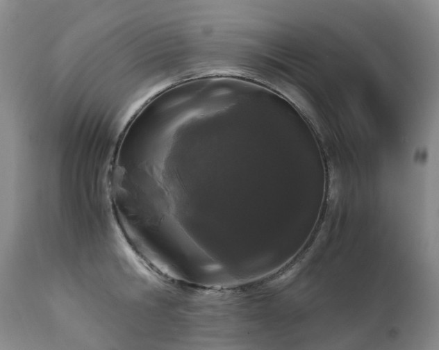 X0000112880806200908211449