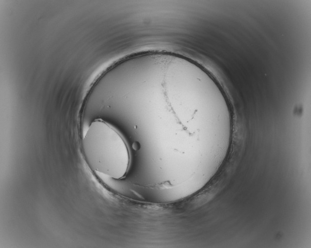 X0000112880807200908211449