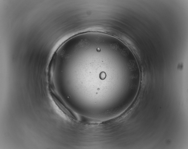 X0000112880808200908211449