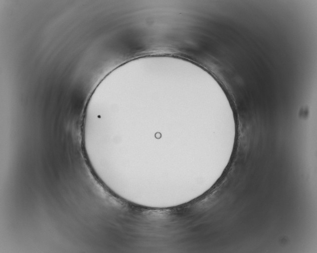 X0000112880810200908211449