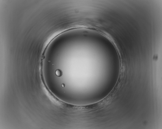 X0000112880811200908211449