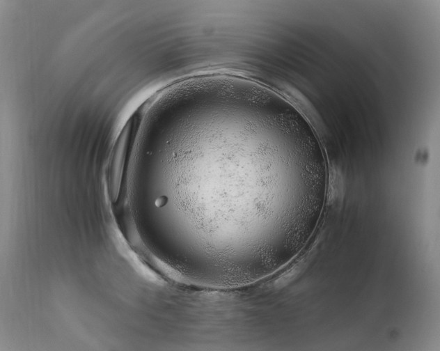 X0000112880812200908211449