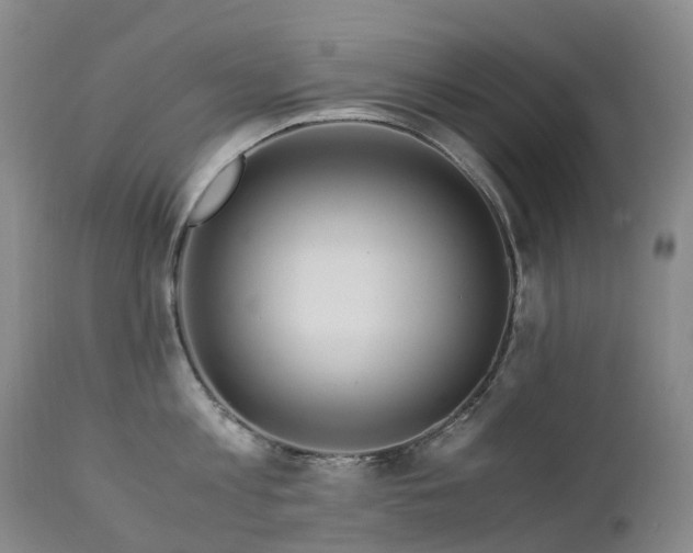 X0000112880813200908211449