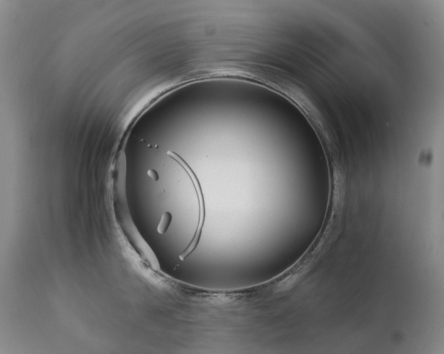 X0000112880814200908211449