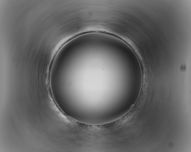 X0000112880815200908211449