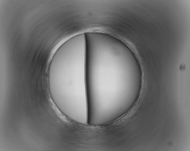 X0000112880816200908211449