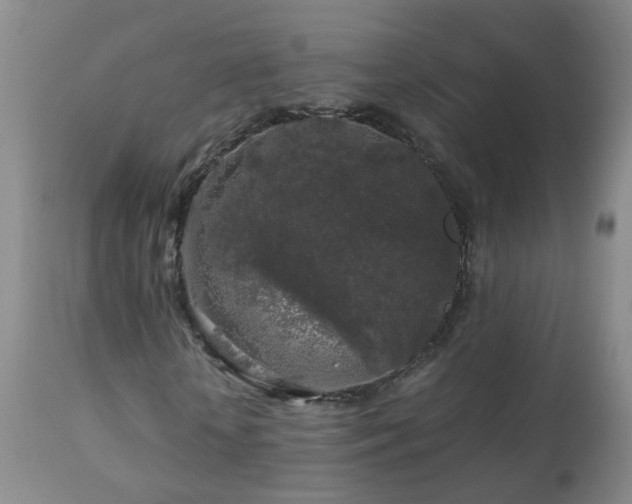 X0000112880818200908211449