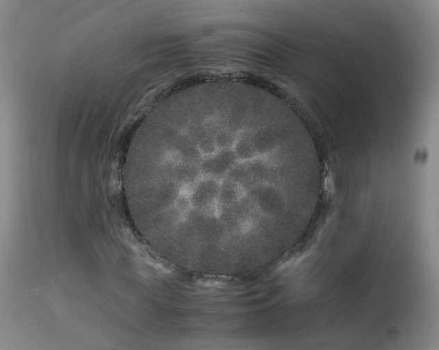 X0000112880819200908211449