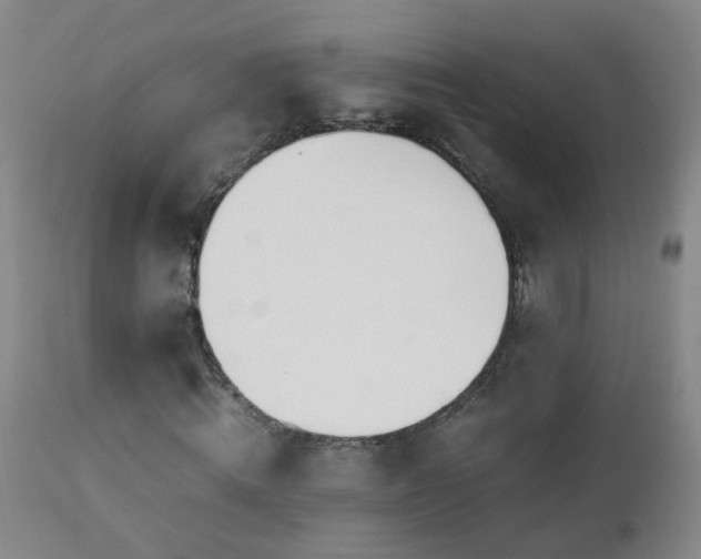 X0000112880820200908211449