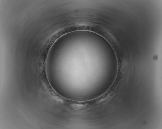 X0000112880821200908211449