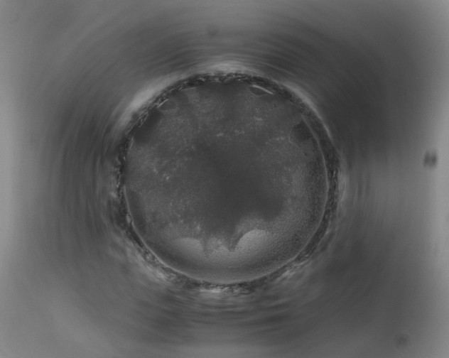 X0000112880823200908211449