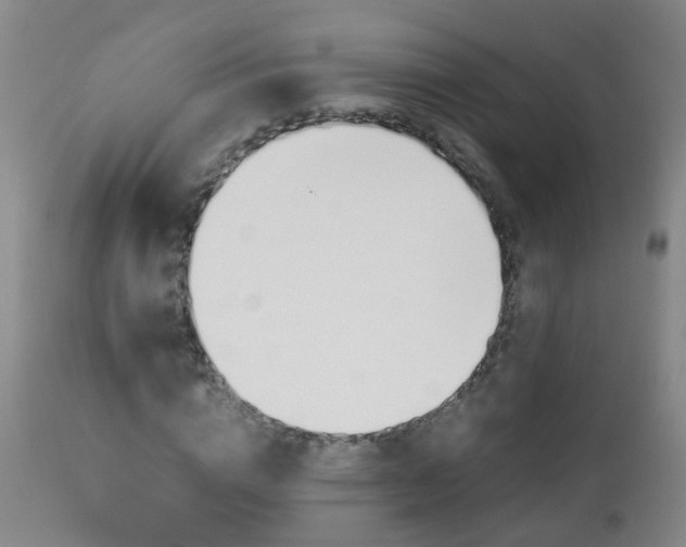 X0000112880824200908211449