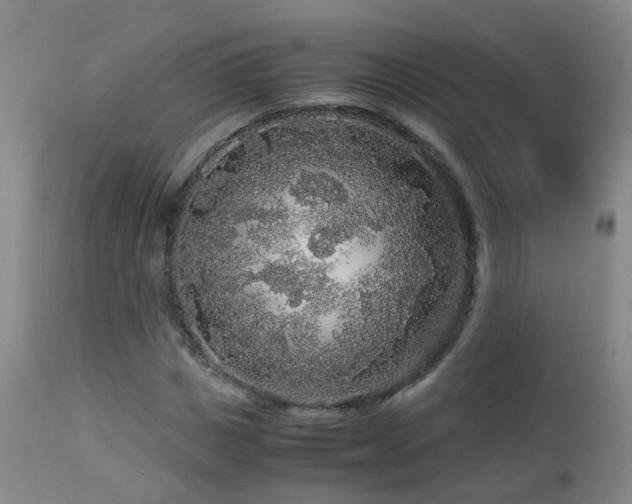 X0000112880825200908211449