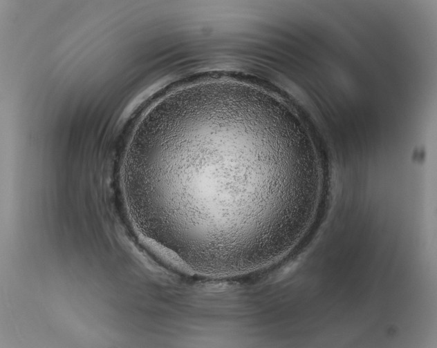 X0000112880826200908211449