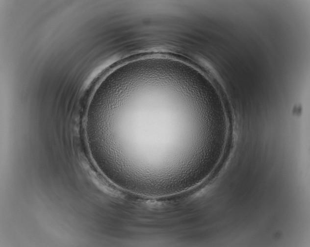 X0000112880827200908211449