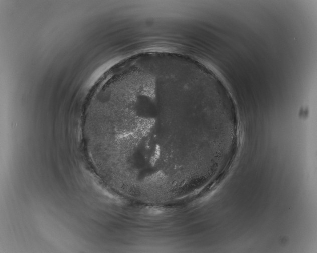 X0000112880829200908211449