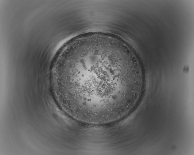 X0000112880830200908211449