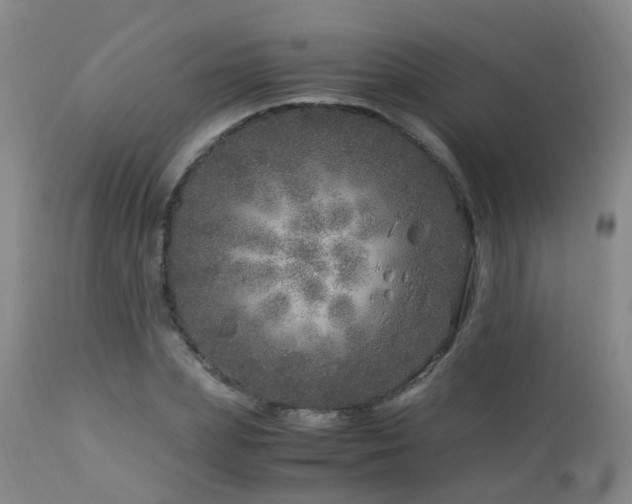 X0000112880831200908211449