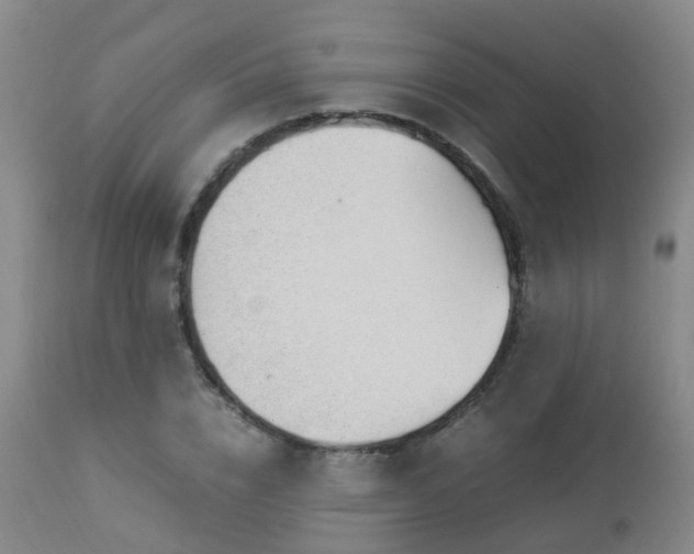 X0000112880832200908211449