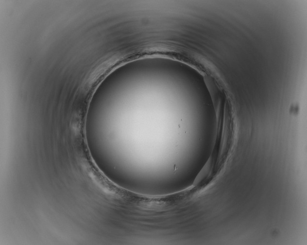 X0000112880833200908211449