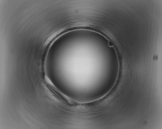 X0000112880834200908211449