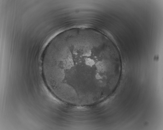 X0000112880835200908211449