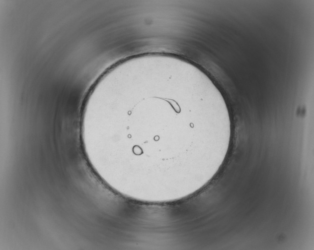 X0000112880836200908211449