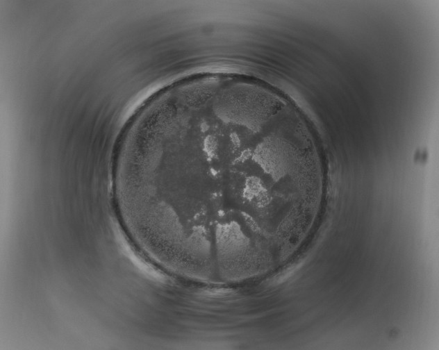 X0000112880837200908211449