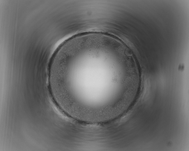 X0000112880838200908211449