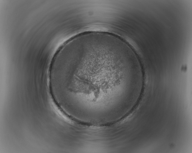 X0000112880840200908211449