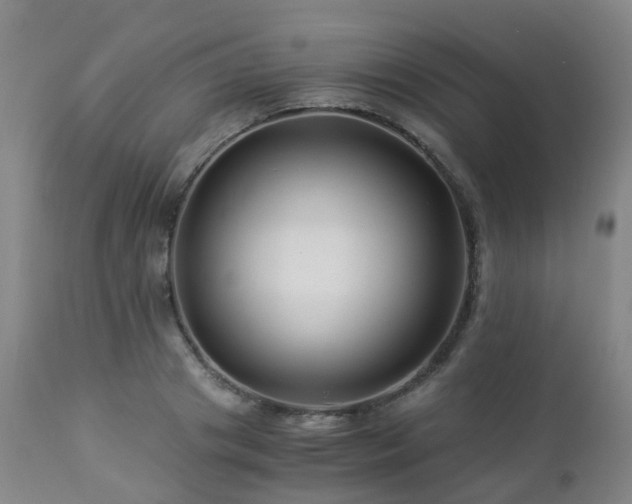 X0000112880841200908211449