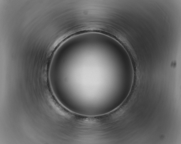 X0000112880842200908211449