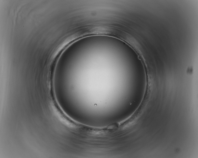 X0000112880843200908211449