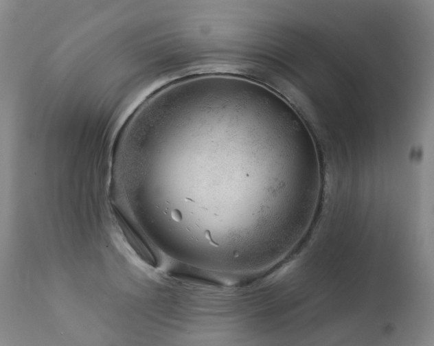 X0000112880844200908211449