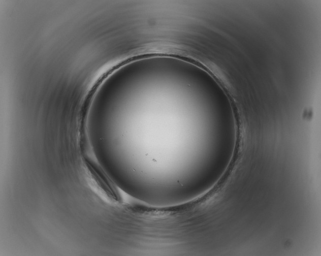 X0000112880846200908211449