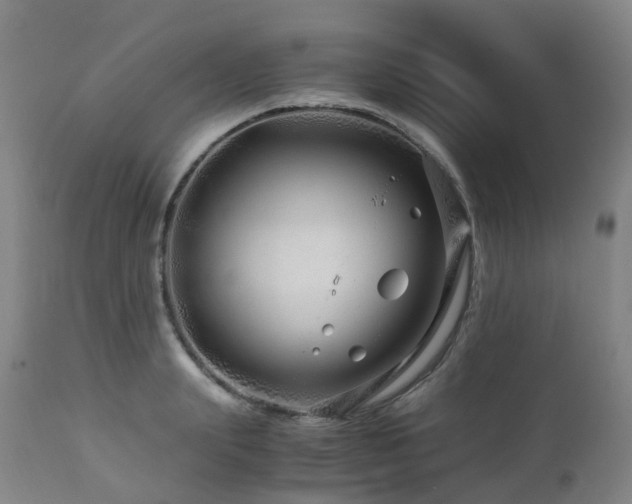 X0000112880847200908211449