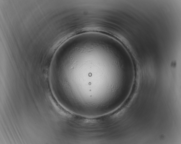 X0000112880849200908211449