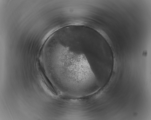 X0000112880850200908211449